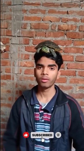 Tutorial Turtle Tumble Filter 😱😱 #tutorial #filter #ai #turtle #tumbler #viral #short