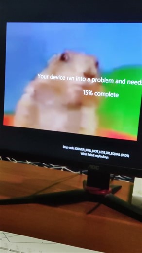 Dramatic Look Chipmunk Has BSOD #dramaticlook #bsod #chipmunk