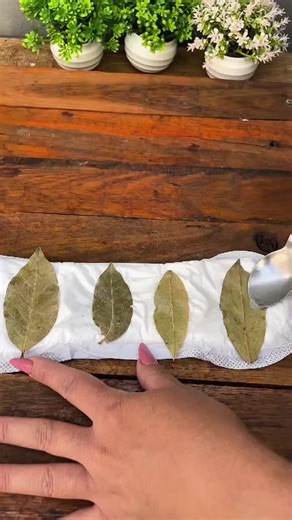 Surprising Benefits of Bay Leaves in Sanitary Pads