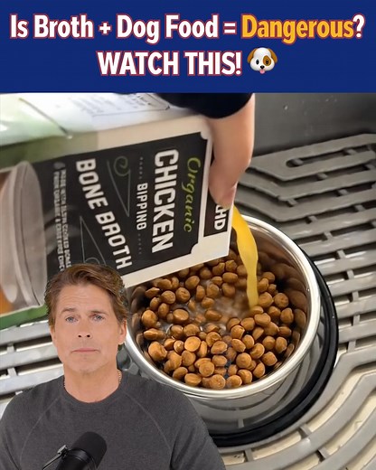 Actor and dog-dad Rob Lowe says: NEVER feed your dogs these foods! 🙅 ❌ Avoid these “No Go” foods at all costs if you want your dog to feel their best. ✅ Instead, reach for the “Go foods” the actor shares in this video — watch it now to see what to feed your dog to give them more energy, flexible joints, strong muscles, and a full, healthy life. 👉 https://rebrand.ly/RobLoweDogFood | Rob Lowe
