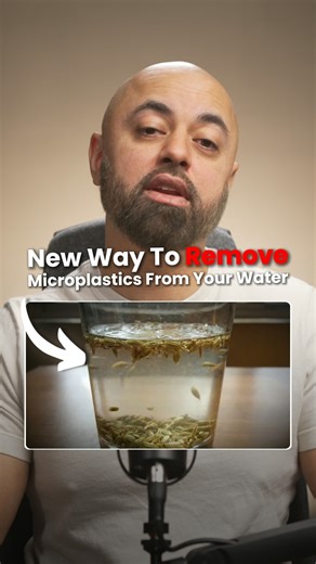 Kashif Khan on Instagram: "Scientists just found a way to remove 90% of microplastics from drinking water in under 30 minutes. We’re all aware now of how contaminated our water is. Microplastics are in tap water, bottled water, literally everywhere. And since your body is more than 60% water, knowing how to filter it isn’t optional anymore, it’s essential. In this new 2025 study, researchers discovered that two everyday foods, okra and fenugreek, can remove microplastics more effectively than th