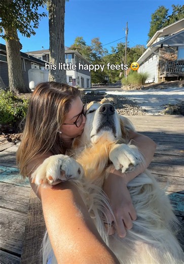 THE TOEBEANS 🥹😭 #goldenretriever #dogs | dog