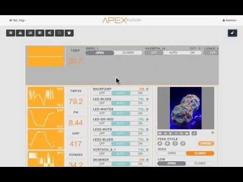 Apex Fusion Drag and Drop Dashboard