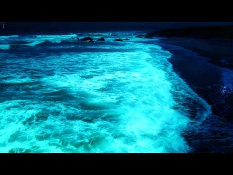 Struggling to Sleep Tonight? Try These Ocean Waves 🌊😴