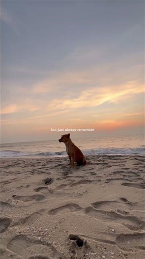 Restart Reset Refocus