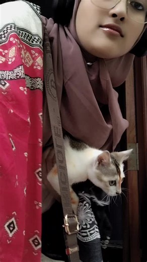 repost btw #cat #cattok #fyp #foryou #viral | cats