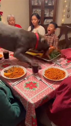 Jaquem on Instagram: "Esto pasó anoche en la casa de mi tío 😱😱"