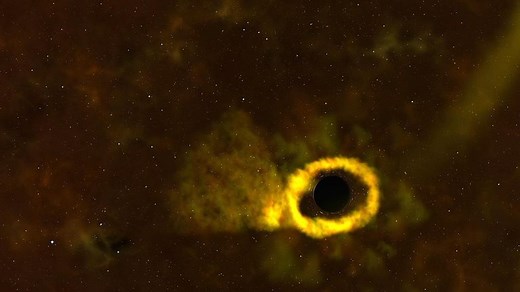For the first time Nasa has observed a dying star being destroyed by a black hole