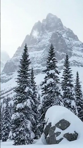 Snowy Rocky Mountains #relaxing #winter #snow #nature
