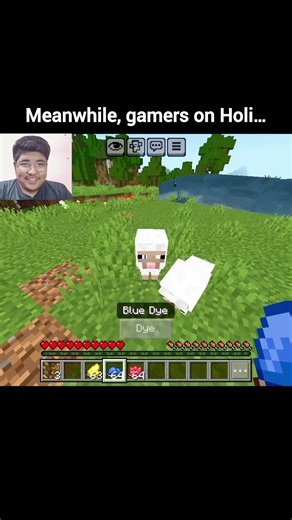 Gamers On Holi 🫟🤣 #minecraft #shorts #holi