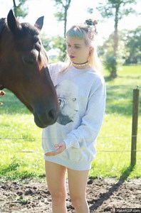 Horse whispering on Make a GIF