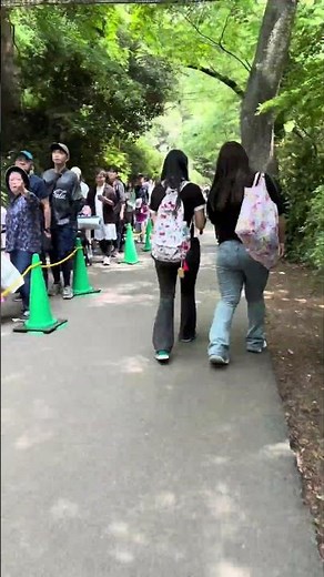 清水公園アスレチックのゴールデンウィーク混み具合！混みを避けて遊ぶなら開園直後に行きましょう♪#アスレチック #清水公園 #清水公園アスレチック #水上アスレチック #ゴールデンウィーク 清水公園駅