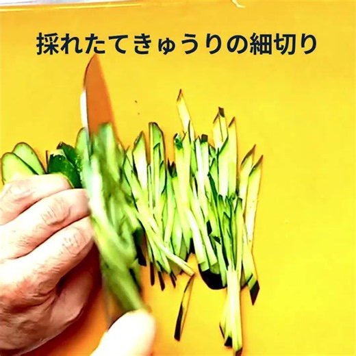 【家庭菜園の恵み】採れたて野菜で作るフレッシュサラダ🥗赤玉ねぎ・大葉・きゅうり・プチトマト
