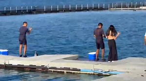 9K views · 60 reactions | ✨Our lucky guest got to dance with the dolphins—talk about a fin-tastic way to celebrate wildlife and ocean conservation!  #WorldWildlife #DanceWithDolphins | Ocean Adventure Subic Bay | Facebook
