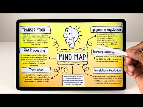 How to Create Mind Maps In Samsung Galaxy Tab S10 FE/FE+ With EdrawMind - 10 Powerful Features