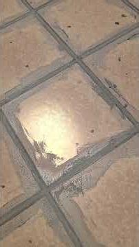 Brilliant hack with FogoFill: Simply cover your bathroom tiles instead of renovating! #stickover ...