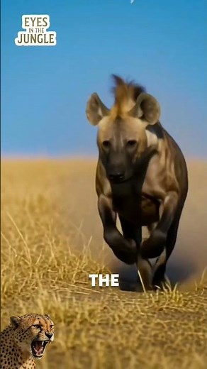 Powerful Hyena Unleashed: Lightning-Fast Chase in the Wild #animals #hyena #animalworld