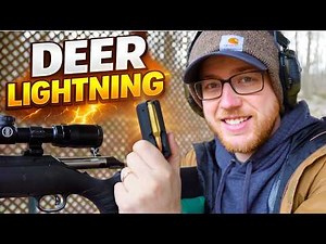 Hunters, Don't Dismiss the .243 Winchester!