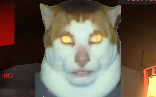 Monday left me broken🐱