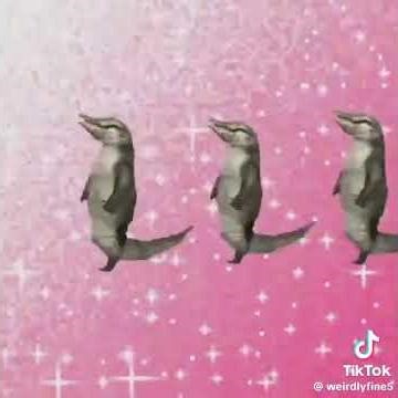 #parati #burger #funntmoments #roblox #viralvideo #viralvideo #greenscreen #greenscreen #hamburguesa