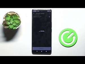 How to Check for Software Update on HTC U24 Pro – Easy Guide!