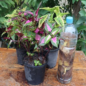 670K views · 7.6K reactions | Hello everyone! Now I would love to...