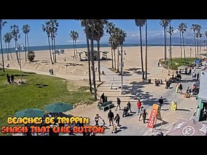 Venice Beach Webcam - Venice Beach Live Cam - venice beach live boardwalk cam