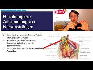 Wenn's unter der Gürtellinie "brennt" & warum du keine Hilfe bekommst | Live Webinar