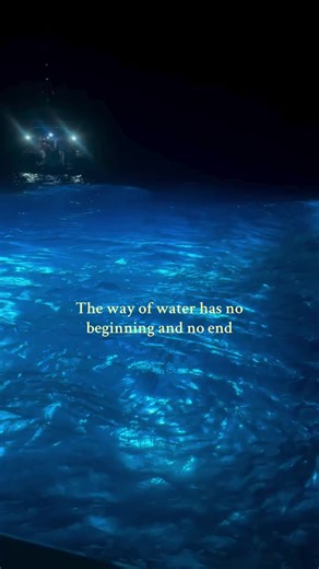 Exploring the Way of Waters in Avatar