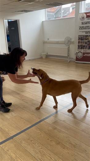 Roxie revealing her inner showgirl at the studio 💃 😆 | On Broadway Dance Fitness