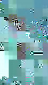 Alert the paparazzi: new Express Essentials worth documenting just dropped. Shop Essentials: https://bit.ly/3uba7tM | Express