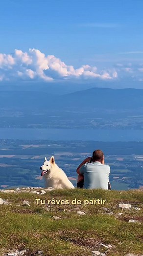 Morgane Trussardi on Instagram: "🐶 La Grande Traversée du Jura avec son chien, c’est possible ! 🏔️🐾 Bonne nouvelle pour les amoureux de rando et leurs compagnons à quatre pattes : la GTJ est en parti dog-friendly ! 🚶‍♂️🐕 Tu peux partir à l’aventure avec ton chien tout en profitant des paysages incroyables des Montagnes du Jura. Voici tout ce qu’il faut savoir avant de te lancer : ✔ Des hébergements pet-friendly 🏡 : Plusieurs hébergeurs le long de l’itinéraire acceptent les chiens ! Tu peux