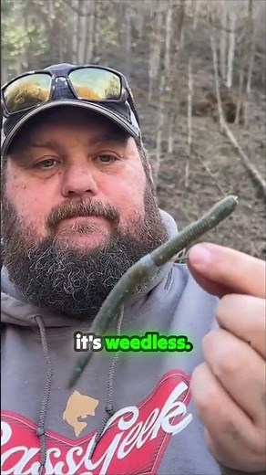 Chicken Rig Catches More Bass #fishing #tutorial