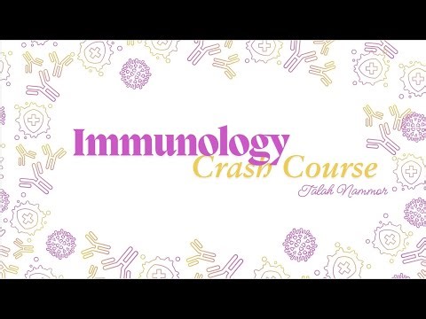 Immunology Crash Course post midterm | Talah Nammor | POD 231