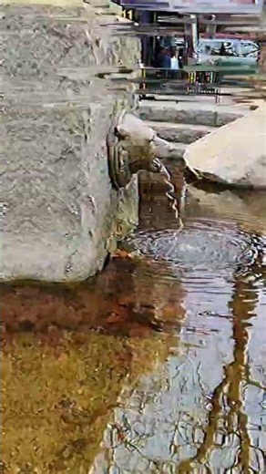 Voix aztèques anciennes par Michael Stacy