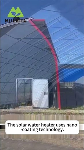 Double Arch Double Film Greenhouse 🌿 | Efficient & High-Yield Farming