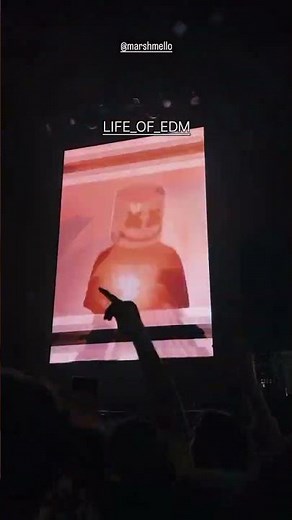 Marshmello live at Main Square Festival #marshmallow #edm #dj #festival #shorts #trending#viral#live