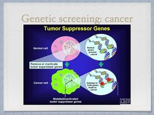 genetic screening and counselling