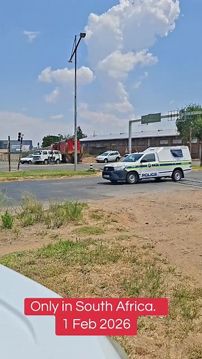 Only in South Africa: Unbelievable News Stories