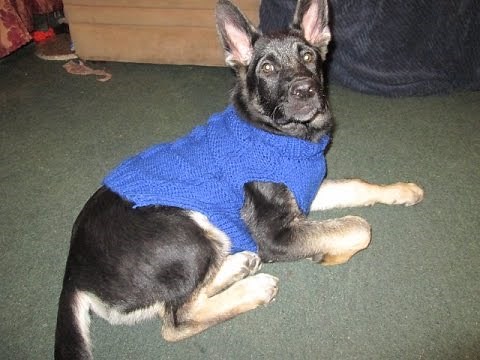 Como Hacer Sweater-Chaleco con 2 Agujas Para Tu Mascota