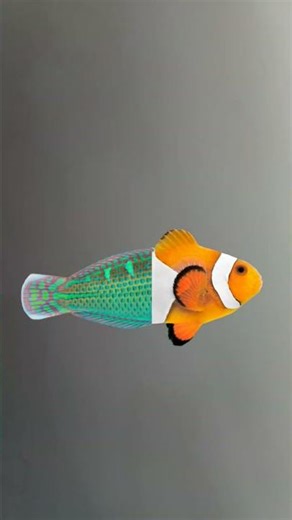 only for master of time.