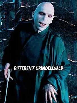 What are the differences between the two Dark Lords, Grindelwald and Voldemort