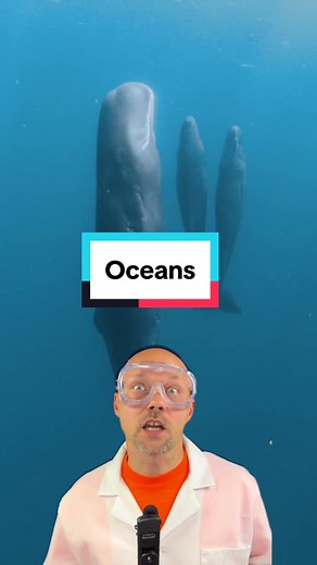 Scary sounds in oceans #bloop #scifi #oceans #animals | the bloop