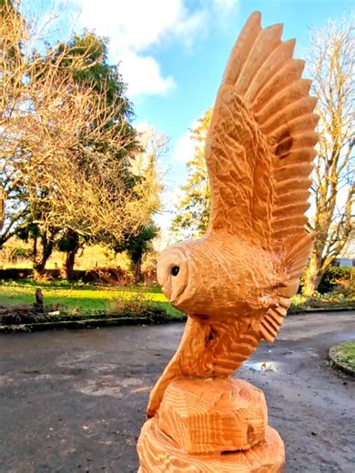 Beautiful Flying Barn Owl Carving Video