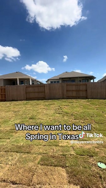 Spring Vibes in the Hill Country at Meyer Ranch