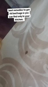 8K views · 13 reactions | Best home Remedies to get rid the bed bugs..ingredients is vinegar, oil, and dishwasher liquid. #everyonehighlights | Khadija Eslam | Facebook