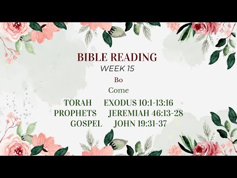 Bible Reading Week 15: Bo | Come