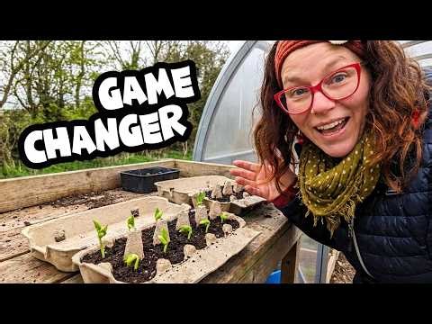 Living Willow Update & A Bean Experiment | The Land | Ep. 25