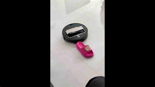 Vacuum robot with mechanical arm picks up slipper and moves it correct place