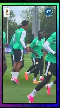 Sénégal- Belgique : Dernier galop des Lions